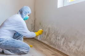 Best Mold Removal for HVAC Installations  in Shelbina, MO